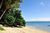 CGC coconut grove beachfront 38