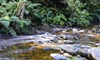 FER Jubilee Creek stream