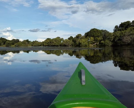 This is an intimate owner-run Lodge situated on the banks of a large Zambezi backwater, only 24kms from Katima Mulilo