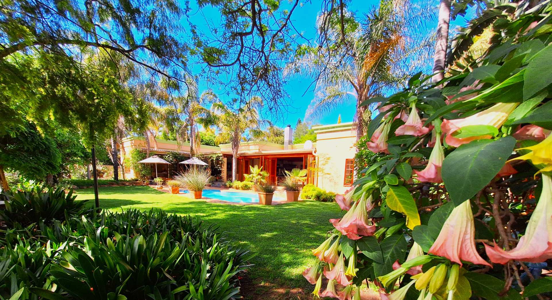 Blissful Beautiful Living