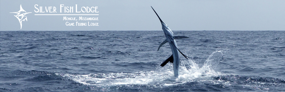 Luxury Fishing Lodge situated on the estuary in Mongue, 17km north of Maxixe, in the province of Inhambane Bay
