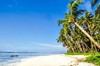 CGC coconut grove beachfront 30