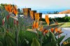 AGH GARDEN & OCEAN VIEW