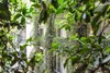 MSH GIARDINI VERTICALE