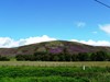 GL GLEN-ESK