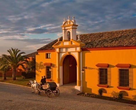 This Hacienda  is located 20 minutes' drive from Seville's Old Town