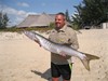 PBL fishing barracuda
