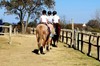 KMRH  pony rides 2