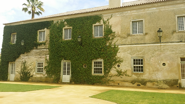 Established in 1498, this beautiful, historic wine estate is located in the demarcated Lisbon region, near to the village of Pancas (Alenquer)