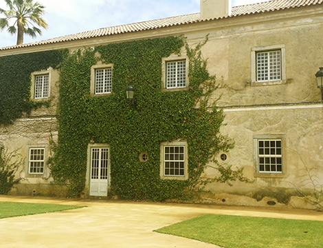 Established in 1498, this beautiful, historic wine estate is located in the demarcated Lisbon region, near to the village of Pancas (Alenquer)