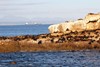 AGH SEAL ISLAND 1