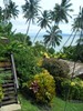 CGC taveuni-island