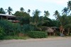 CGC view of coconut grove